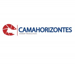 Imagen institucional