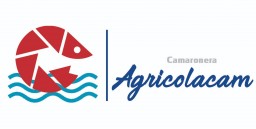 Imagen institucional